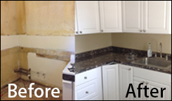 Kitchen Before and After