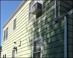 Green House