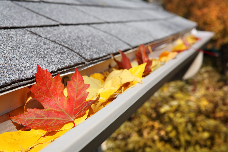 Gutter 